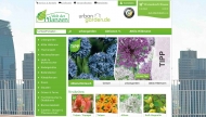 Bild Welt der Pflanzen 