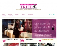 Bild Tetxilreinigung Trieb