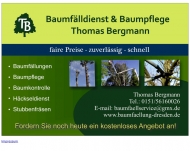 Bild Baumfällung Radebeul