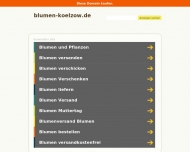 Bild Blumen Klzow