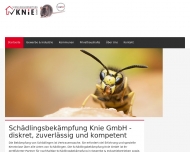 Bild Schdlingsbekmpfung Knie GmbH