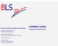 Bild Business Language Support