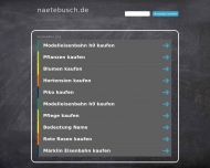 Bild Ntebusch GmbH