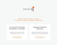 Bild Senecon GmbH