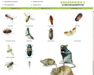 Bild ANGERMEIER'S