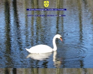 Bild Internet Marketing