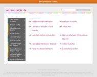 Bild AUDI ET VIDE Hundeschule
