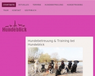 Bild Hundeblick Kln
