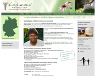 Bild Naturheilpraxis Michael Bauer Heilpraktiker