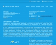 Bild Autoverwertung Bscher