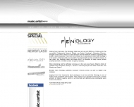 Website Music & Artist Agency