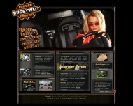 Bild Buggywelt