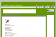 Website B & S Containerdienst