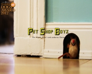 Bild Pet Shop Boyz e.K.