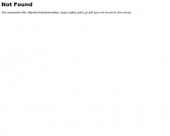 Website BSI Ingenieurgesellschaft