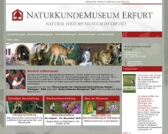Bild Naturkundemuseum