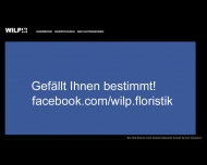 Bild Wilp Floristik