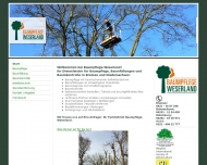 Bild Wehberg Baumpflege