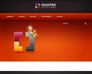 Bild Page Pro Media GmbH