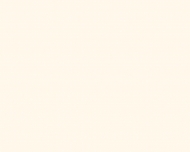 Bild China Dialog Frau Dr. Yamei Leng