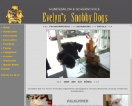 Bild Snobby Dogs