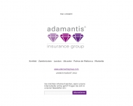 Bild adamantis insurance broker GmbH & Co. KG