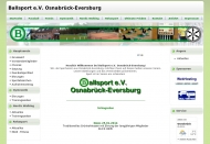 Bild Ballsport e.V.