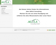 Bild Agila Consulting GmbH