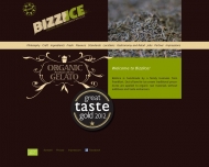 Bild Bizzilce GmbH