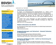Bild Blinden- und Sehbehindertenverein Schleswig-Holstein e.V.