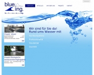 Bild blue-ing. GmbH