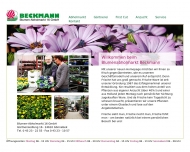 Bild Blumen-Abholmarkt 16 GmbH