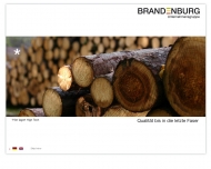 Bild Brandenburg Holzfaserstoffe Beteiligungs GmbH
