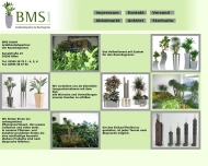 Bild BMS GmbH-Grohandelspartner der Raumbegrner