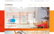 Bild Celanese Chemicals Europe GmbH