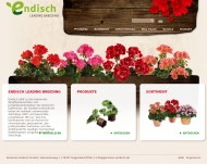 Bild Geranien Endisch GmbH