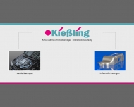 Bild Kießling GmbH & Co. KG