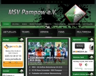 Bild Mecklenburgischer Sportverein Pampow e. V.