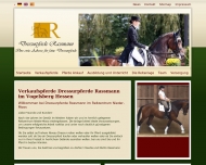 Bild Dressurpferde Rassmann GmbH