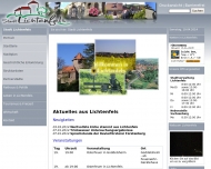 Bild Lichtenfelser Solar GmbH & Co. KG