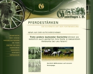 Bild Fahrverein Obere Mhle e.V.