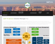 Bild mrs consult - SAP IT-Service Management
