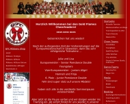 Bild Gold Flames Cheerleader e.V.