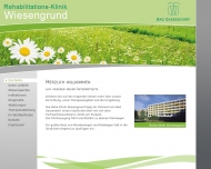 Bild Klinik Wiesengrund GmbH