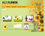 Bild MULTIFLOWER GmbH