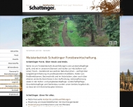 Bild Michael Schattinger Forstbewirtschaftung