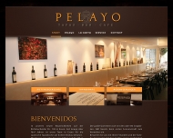 Bild Pelayo GmbH