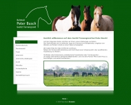 Bild Peter Busch Gestt Tannengrund