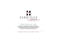 Bild Hammerich Orthopdie GmbH
