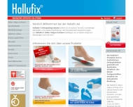 Bild Hallufix AG
